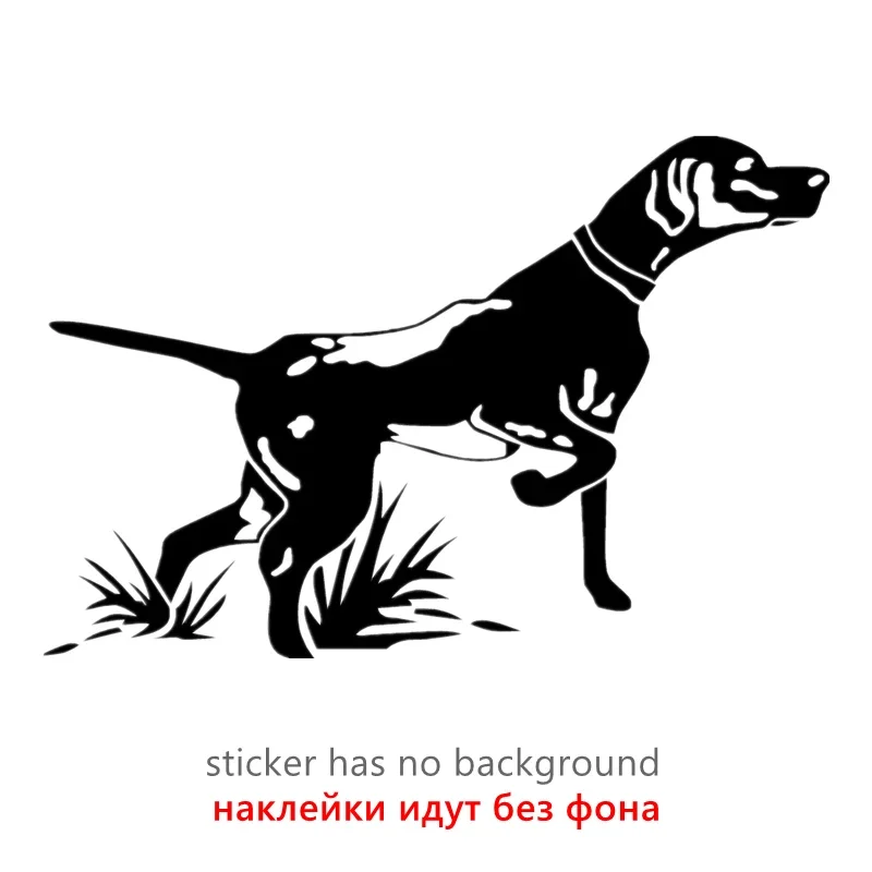 Beccaccia In Volo - Adesivo Prespaziato - Foto 2