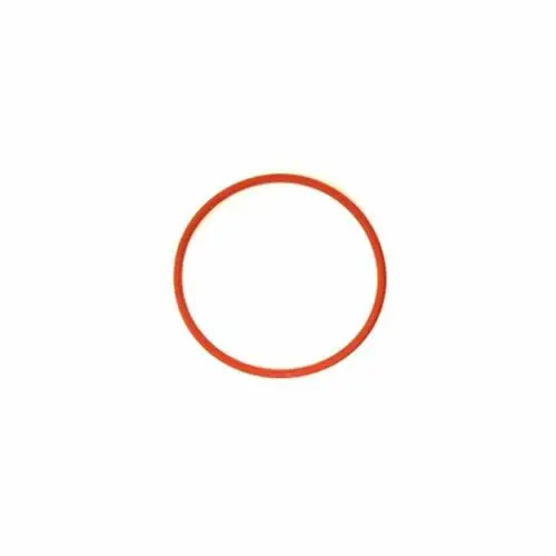 Rancio O-Ring Per Caldaia Silvia 36405001
