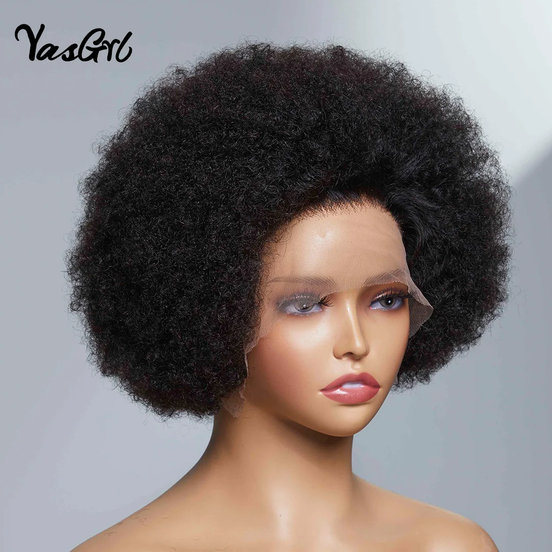 Afro Kinky Curly Human Hair Wig 13X2 Lace Pre Plucked Brazilian Natural