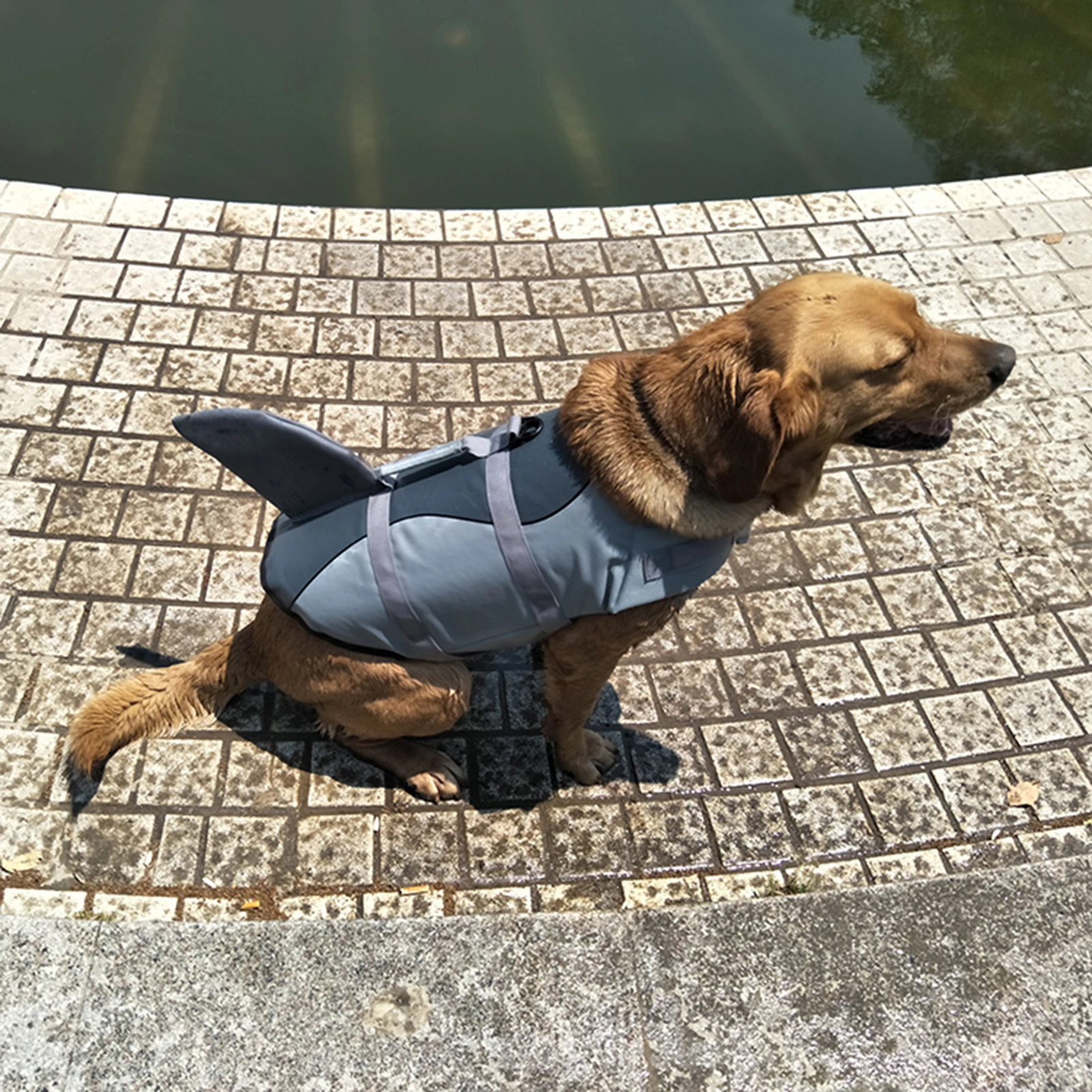 Dog Life Jacket Pet Shark Swimsuit Vest Pet Safety Wear Dog Swimsuit Preserver for Water Safety Device At The Pool, Beach, Boati