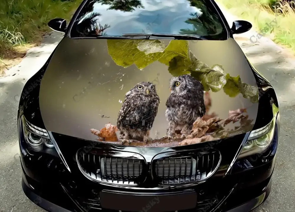 

Самоклеящаяся Универсальная автомобильная пленка с изображением совы животного