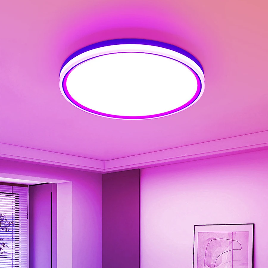 Smart LED Ceiling Light 24W RGB Round With Remote Control Ceiling Lighting For Living Room Bedroom Kitchen Indoor Lighting Decor