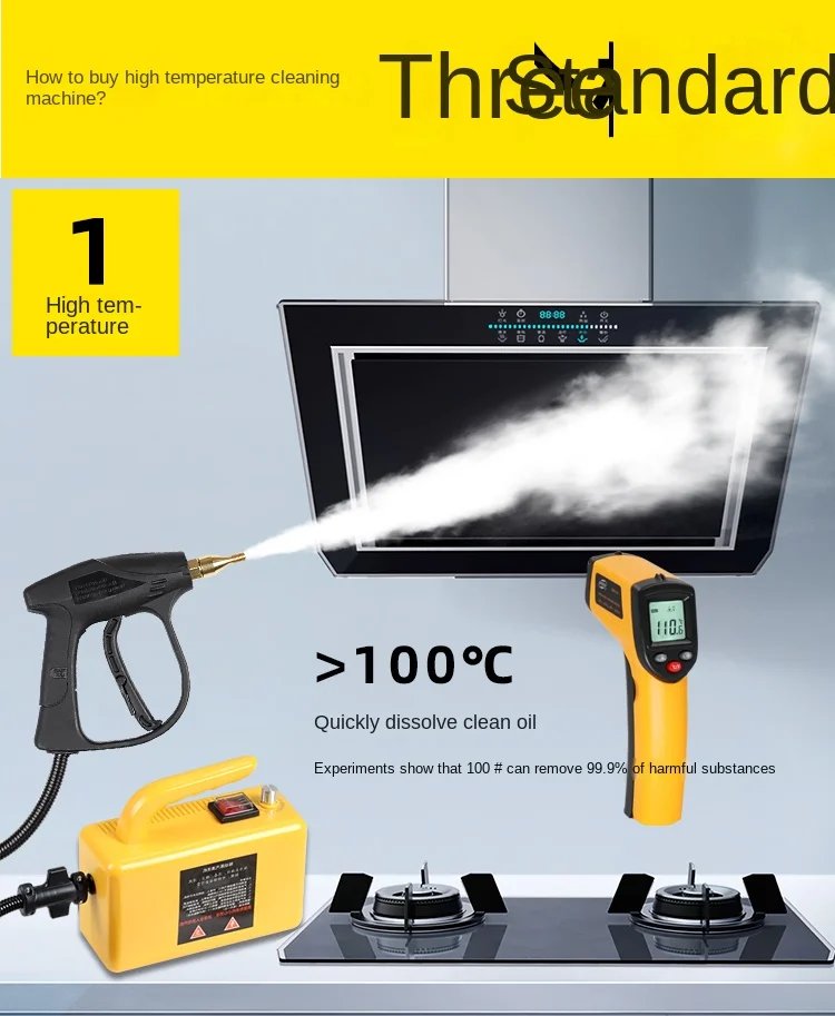 3000W 220V/110V Professional Steam Cleaner Handheld Steam Generator High Pressur