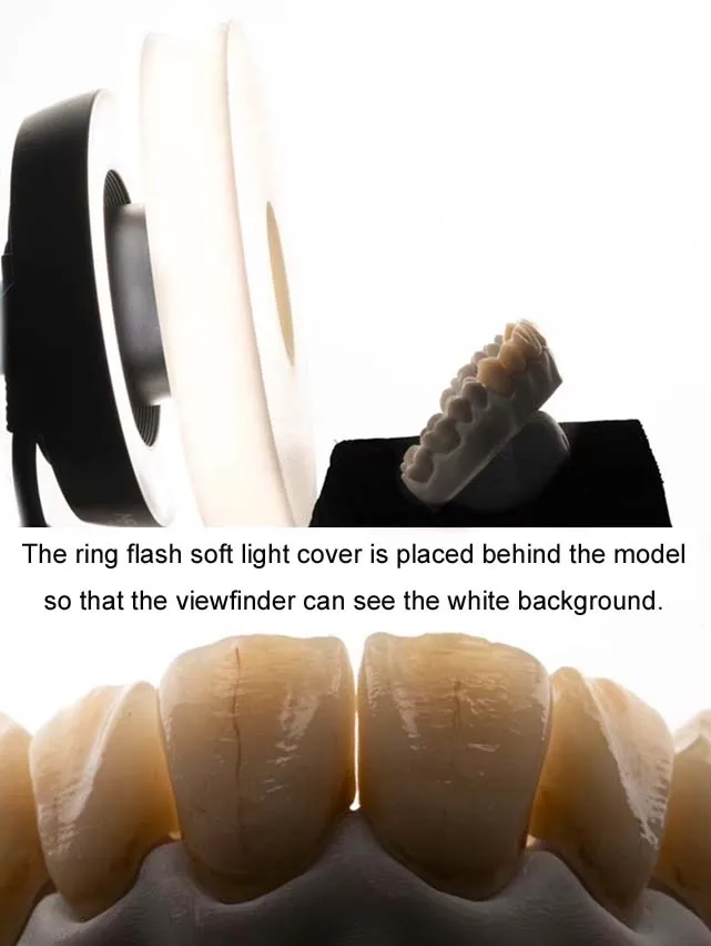 Customize ring flash soft light diffuser according to len model and flash brand to achieve simple lighting and direct renderings Flash Diffuser Camera Softbox Photography Light Diffuser Cloth