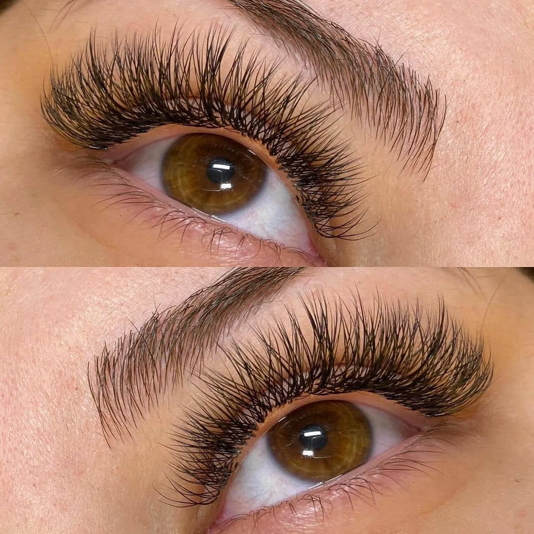 Wendy Lashes W Shape Bloom 3D/4D/5D/6D/8D Premade Volume YY Shape Fake Eyelashes Makeup Supplies High Quality Natural Cílios YY — view 5