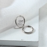 G23 Titanium Hoop Earrings Post Lightweight Dangle for Women Men Cartilage Piercing Hypoallergenic  Body Jewellery 8-12mm 2