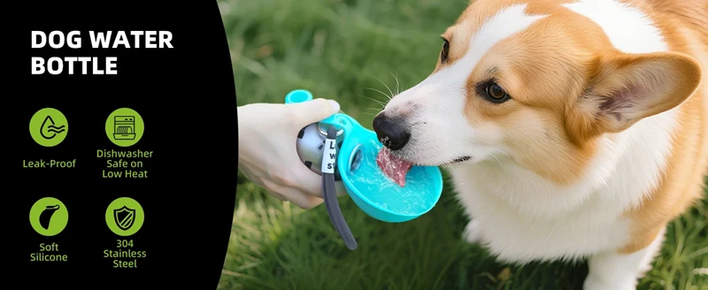Dog drinking from spherical dispenser