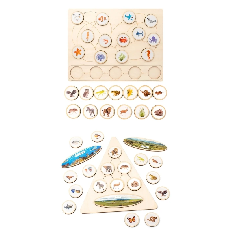 

Montessori Ecological Food Chain Demonstration Puzzle Toy Kids Funny Game Y55B