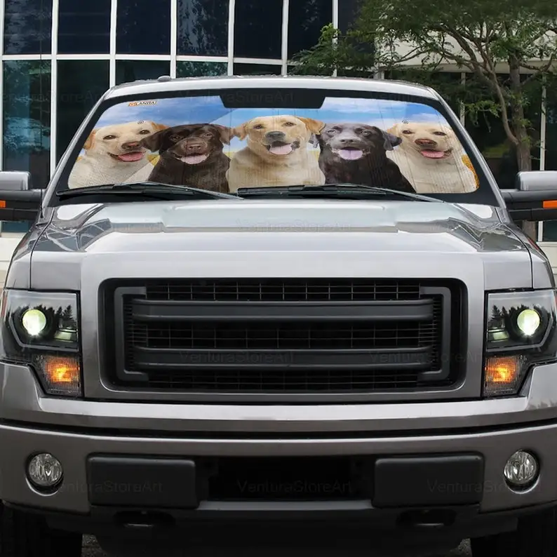 Рисунок 5 - Лабрадор автомобильный солнцезащитный козырек