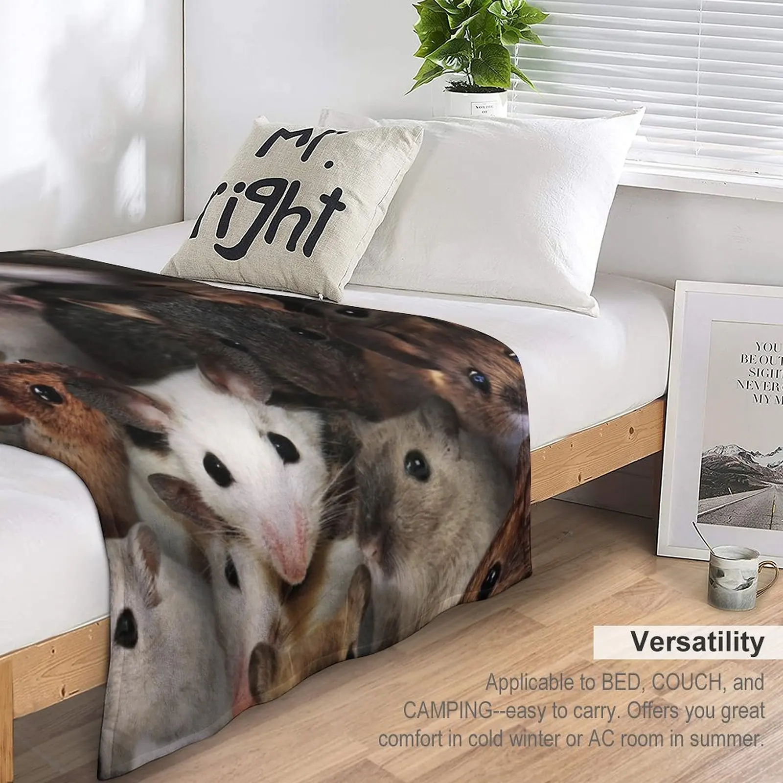 �� ������ ���, ��Ƽ�� ���, ħ�� ��ũ�� ���