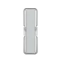 Silver-