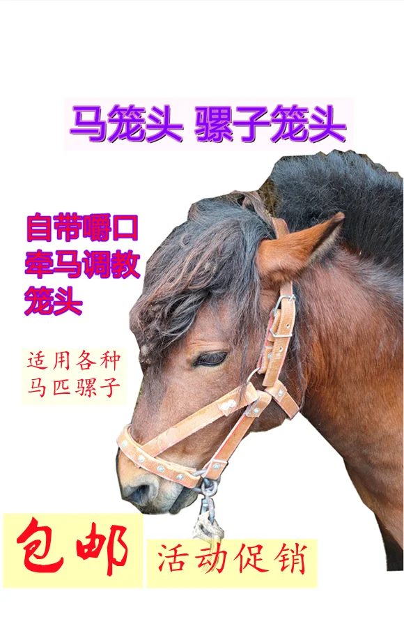 

Horse Bridle Horse Cage Set Lead Horse Training Horse Faucet Lead Rope Full Set Of Equestrian Supplies