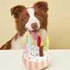 Birthday Cake Pet Dog Soundmaking Interest Toys Bite Resistant Molar To Pass The Time Plush Gnaw Toys Birthday Gift 1