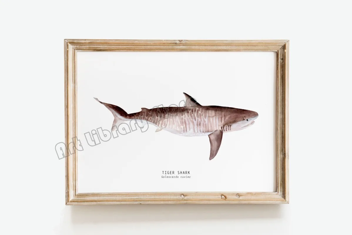 Marine Life Ocean Animals Canvas Art Poster - Whales, Sharks, and Turtles