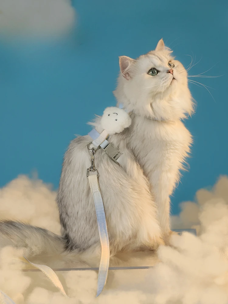 

Cat Pulling Rope Cat Rope Pet Strap Chain for Outing