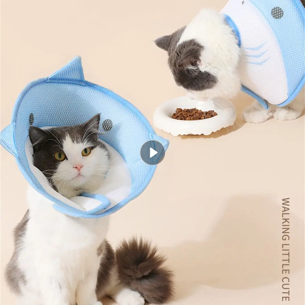 

Cat Adjustable Hat Protected Pet Surgery Anti-bite Pet Rehabilitation Cone Collar For Cats Pet Surgery Recovery After Surgery