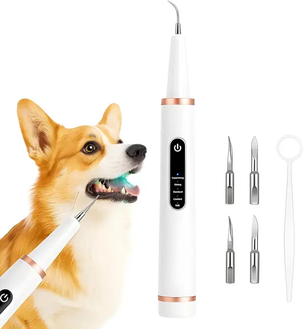 Dog Cat Grooming Smart Dental Ultrasonic Scaler Household Tooth Stone Remover Tooth CleanerTooth Whitening Oral Cleaning Tools 1