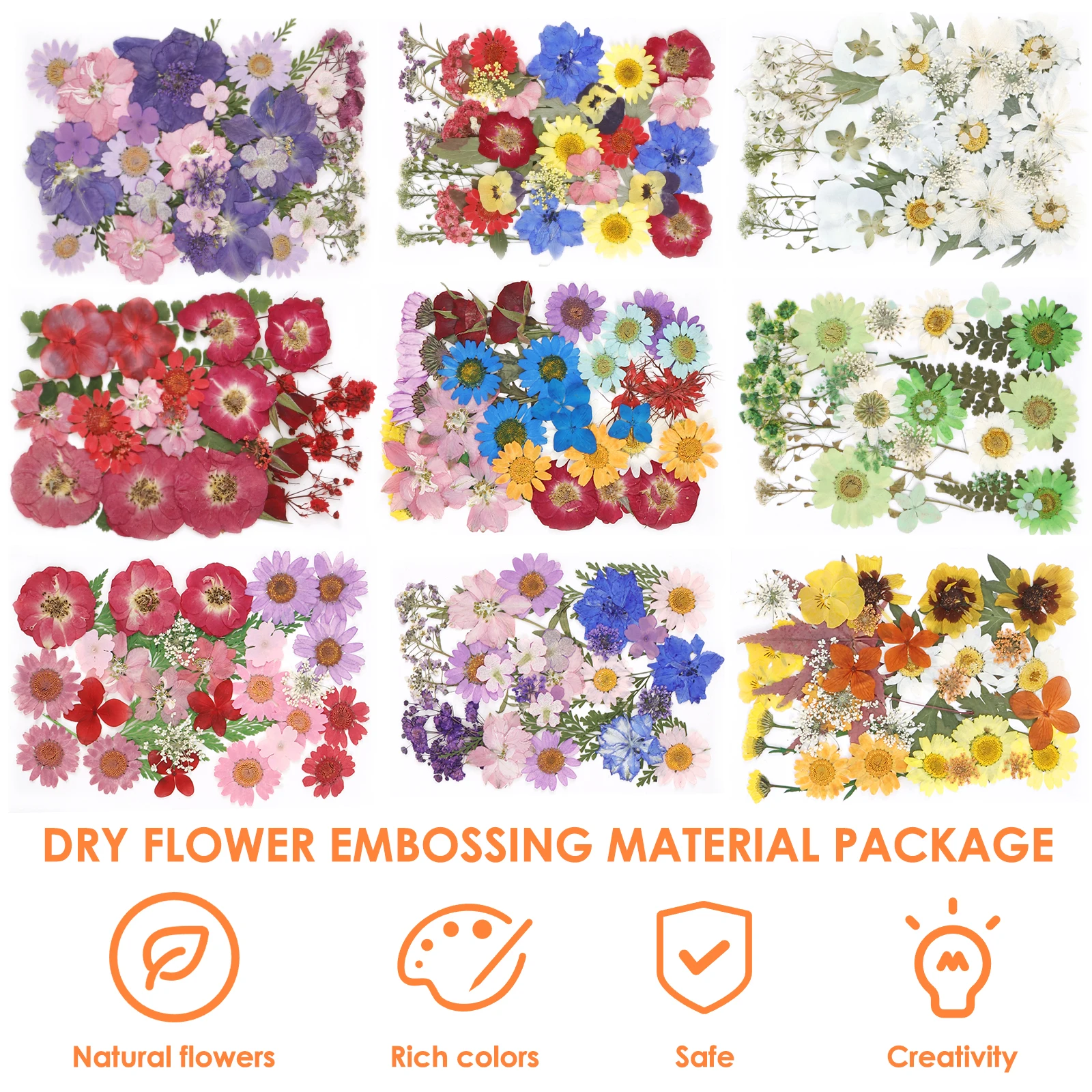 dsc-products