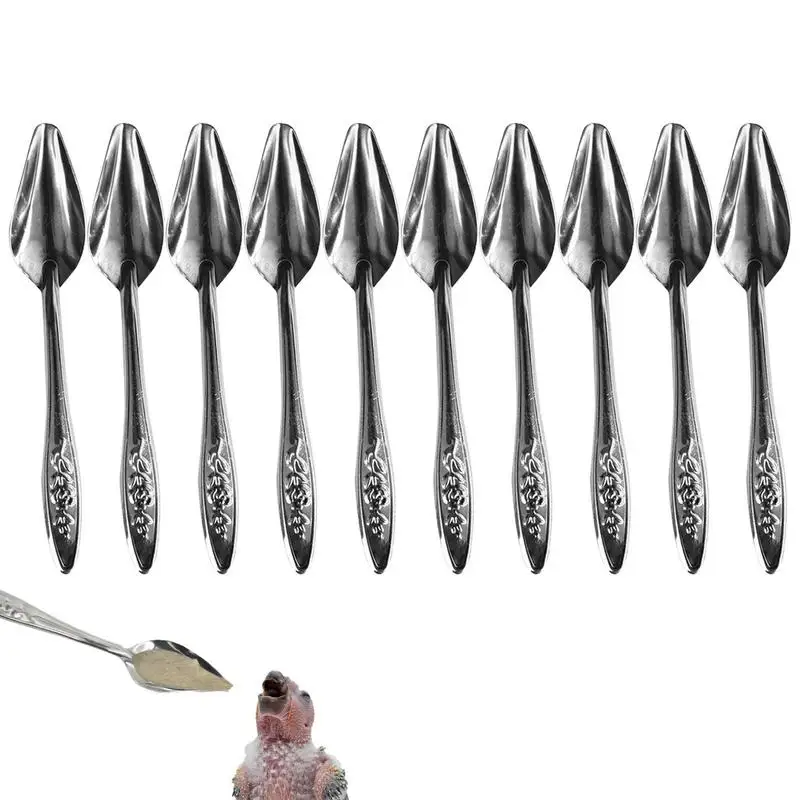 10pcs Portable baby bird feeding water spoon bird parrot feeding spoon stainless steel water milk powder feeder food