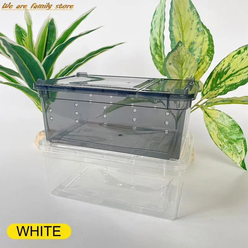 Title 9, 19cmx12.5cmx7.5cm Terrarium For Reptiles Spider...