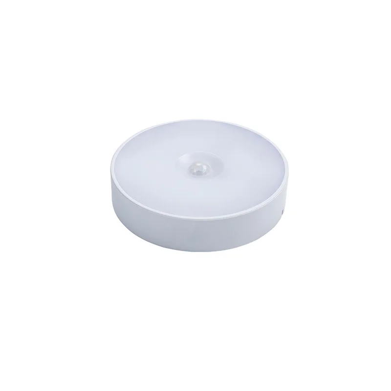 Рисунок 4 - Лампа потолочная с датчиком движения