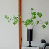 Black Tall-Stemmed Glass Vase – French Classical Hydroponic Flower Arrangement Vase, Artisan Craft Home Decor Piece 6