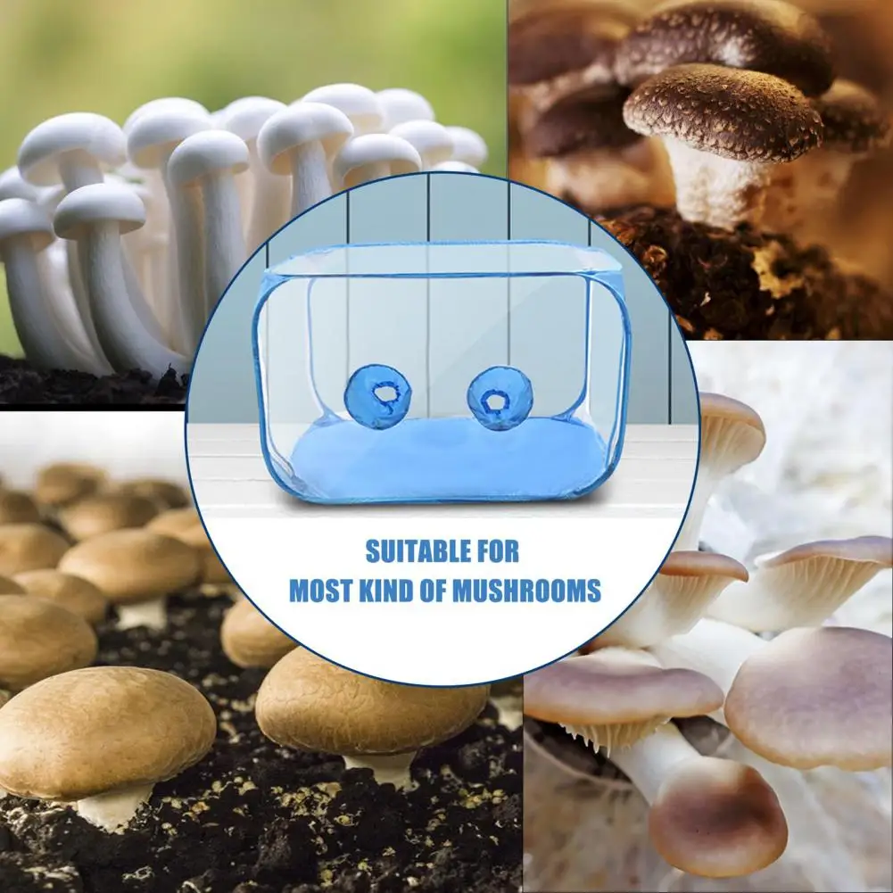 

Microbiology Processing Environment Portable Mushroom Cultivation Tent Grow Kit for Microbiology Enthusiasts for Mycology
