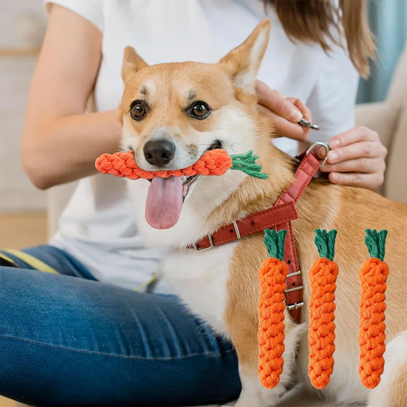 Carrot Dog Bite Rope Pet Dog Toy Safe Durable Braided Bite Dog Chew ...