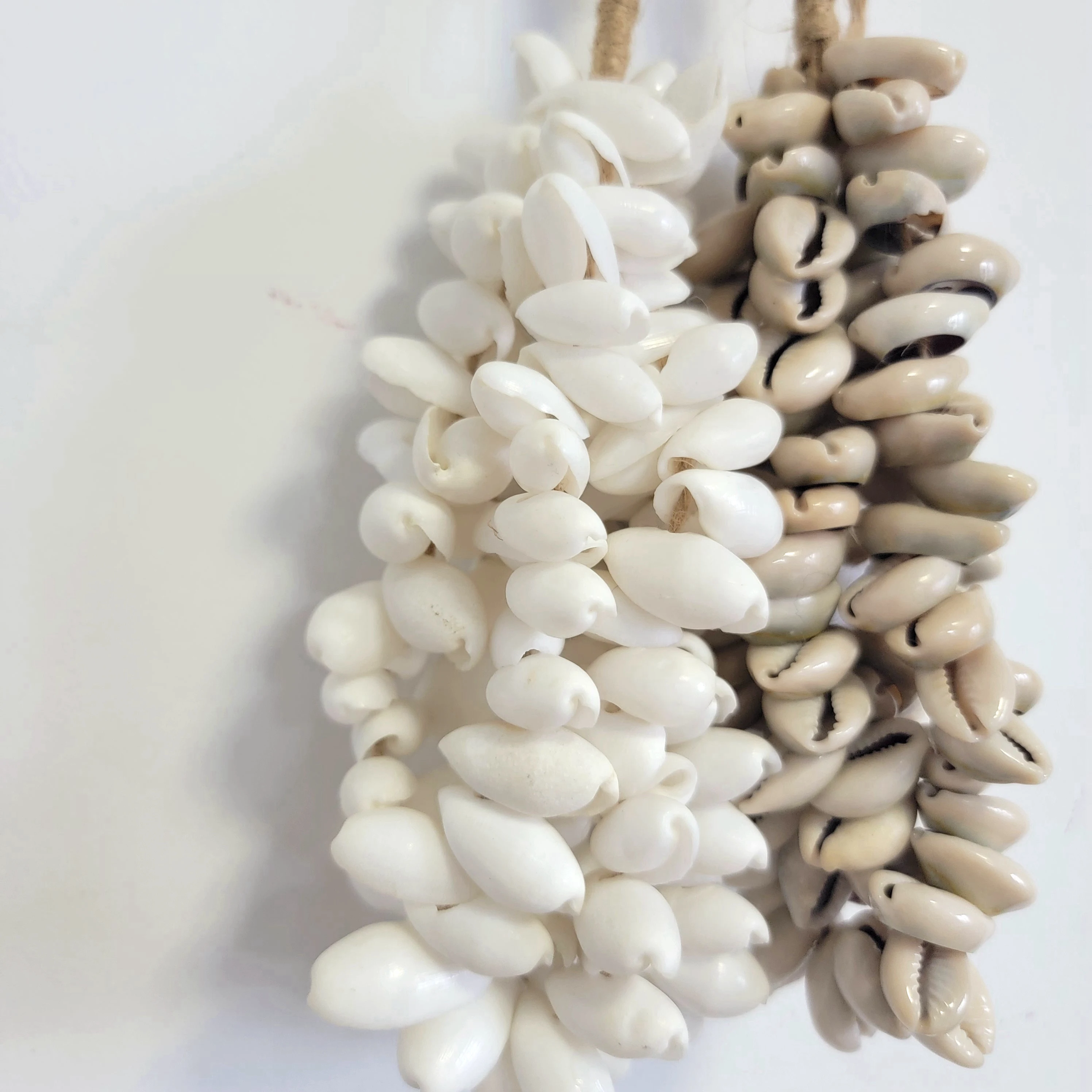 Bohemian Round Sea Shell Dreamcatcher