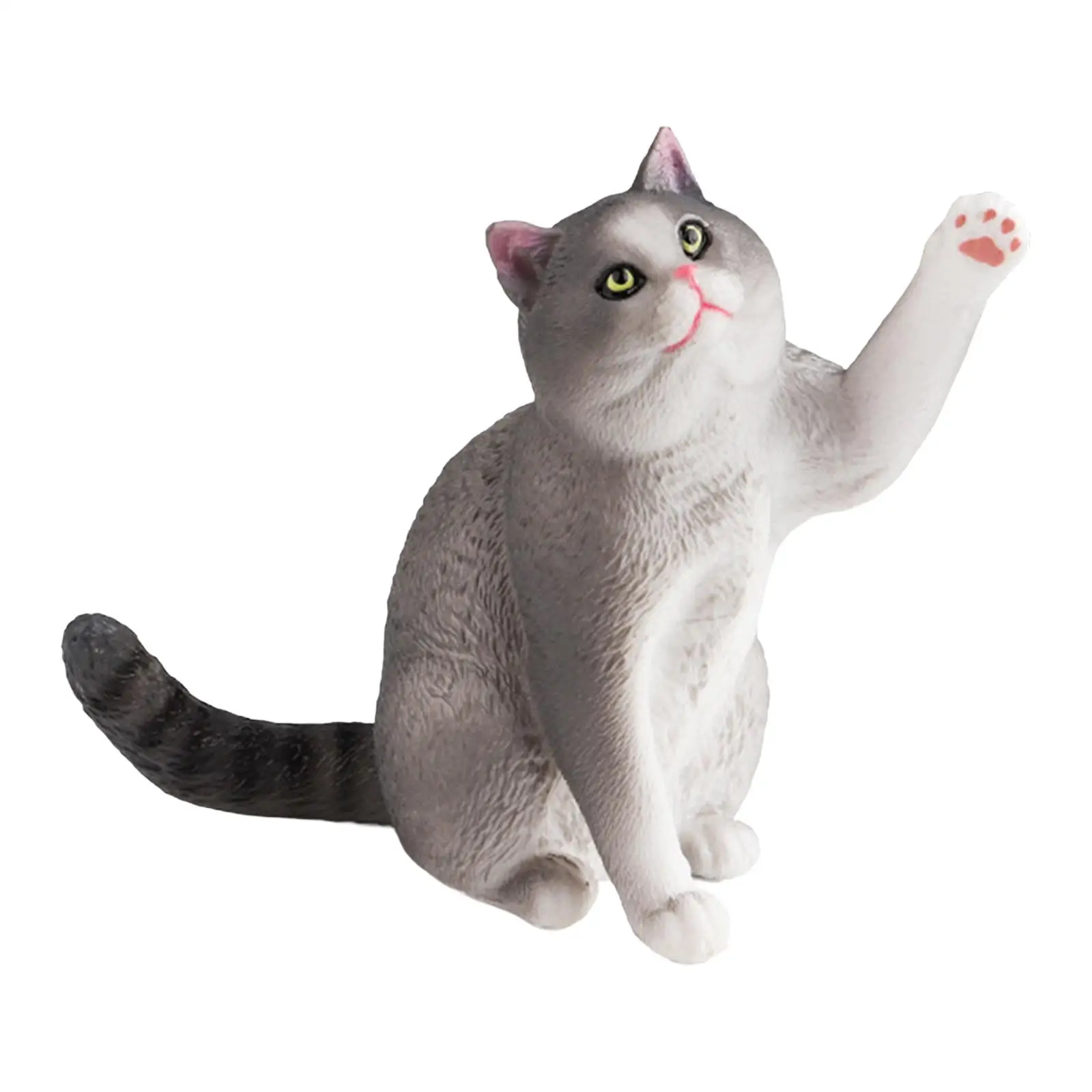 

Realistic Cat Animal Figure Model Small Cat Figurine Science Educational Toy for Toddlers Age 5 6 7 8 Years Old Kids Boys Gifts