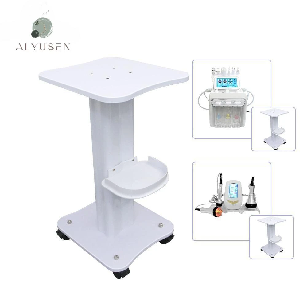 New Multifunction Beauty Salon Rolling Trolley Home Use Rolling Cart