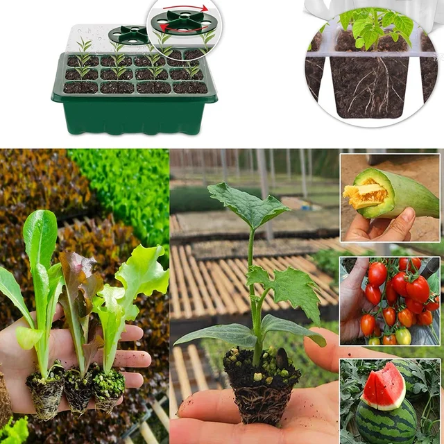 1 Beállított 6Mini Üvegház 12 Növényre Szaporító Beltéri Üvegházhatású Mini Palánta Indító Tálcák - Image 2