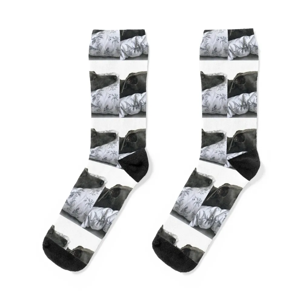 Bedtime Socks gym socks luxury sock summer Fun socks Socks Men Women's