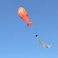 Orange Dolphin