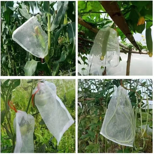 Gyümölcsvédő Táskák Eper Szőlő Hálózsák Zöldségnövénytermesztés Zacskó Ültetvények Kártevőirtó Antibird Háló Burkolat - Image 2