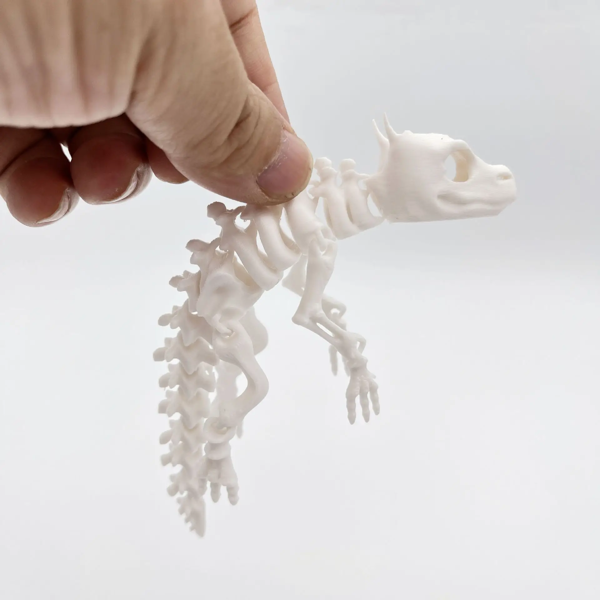 Scheletro di Lucertola snodabile 3D - Statuetta Flessibile Articolata 11 Sb8997b93affa434da6d81bdcf6743e74j