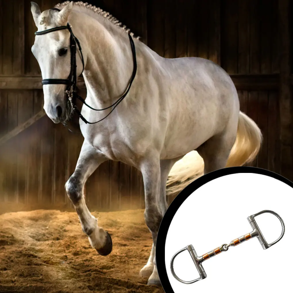 

5inch Stainless Steel D Ring Bit Snaffle Equestrian Accessories Decoration