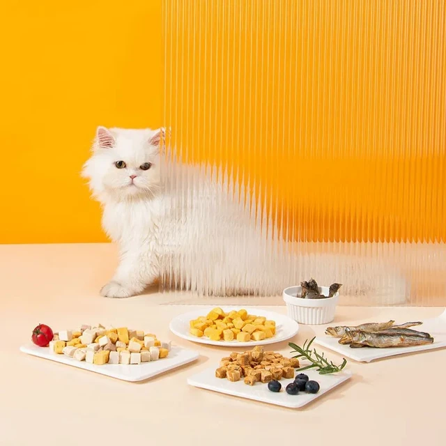 애완동물의 건강과 행복을 위한 최고의 간식: 동결 건조 닭 과립