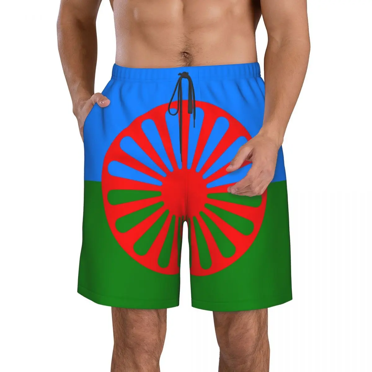 Romani People Rom Gypsy Flag Mens Swim Trunks Qucik Dry Board Beach Shorts Bathing Suit for Men Boardshorts Lightweight 3
