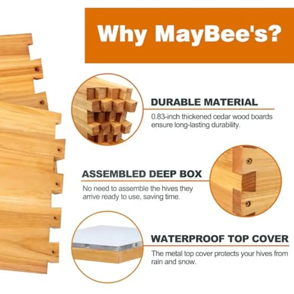 10 Frame Beehive Kit with Beekeeping Supplies and Wax Coated Hives Boxes Complete Starter Set