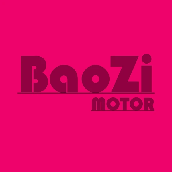 BaoZi Store