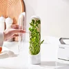 Herb Saver Storage Container Fresh Herb Keeper Vanilla Vegetables Fresh Preservation Bottle for Refrigerator Kitchen 3