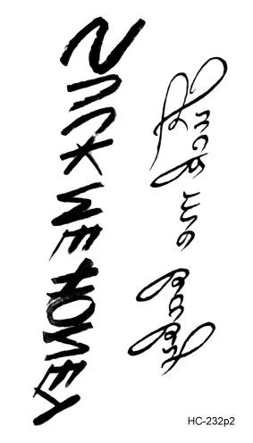 Image 46
