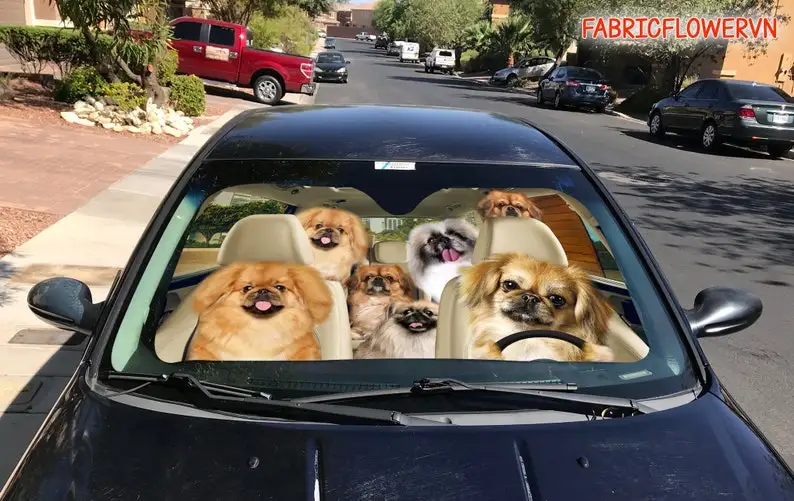 Ű ڵ , Ű ڵ , Ű  ,  ȣ,  ڵ ,  , ƺ 