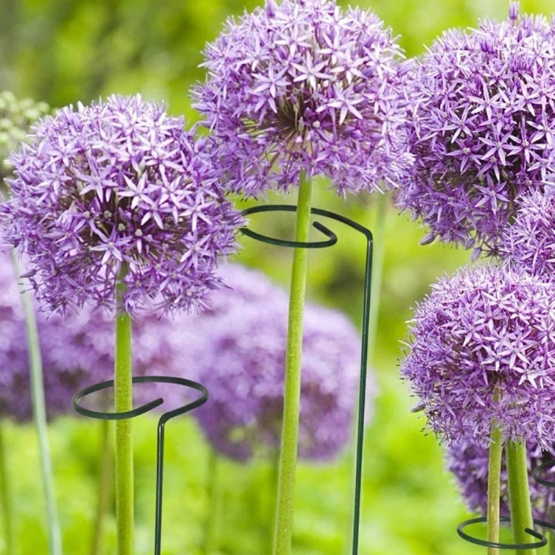 Slide image 64ef8eba493544e3a68ab1297da2f837