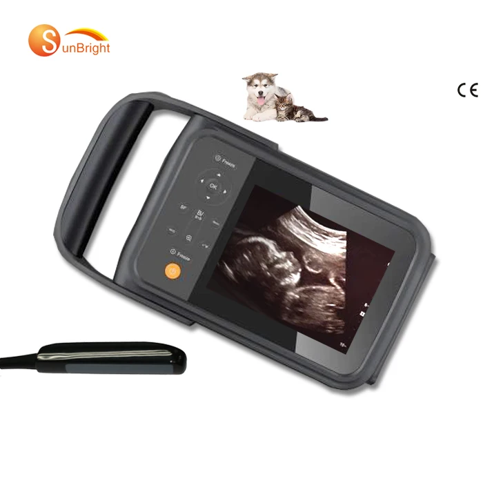 

BW image scan new ultrasound apparatus use medical device portable veterinary