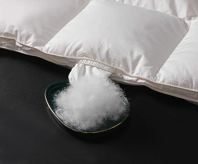 Couette Luxueuse en Duvet d'Oie Blanche, pour Lit d'Hiver, King et Queen Size, Remplie de 95% Duvet d'Oie Blanche de Qualité 5A, Non Adulte 6