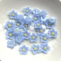 Image 27