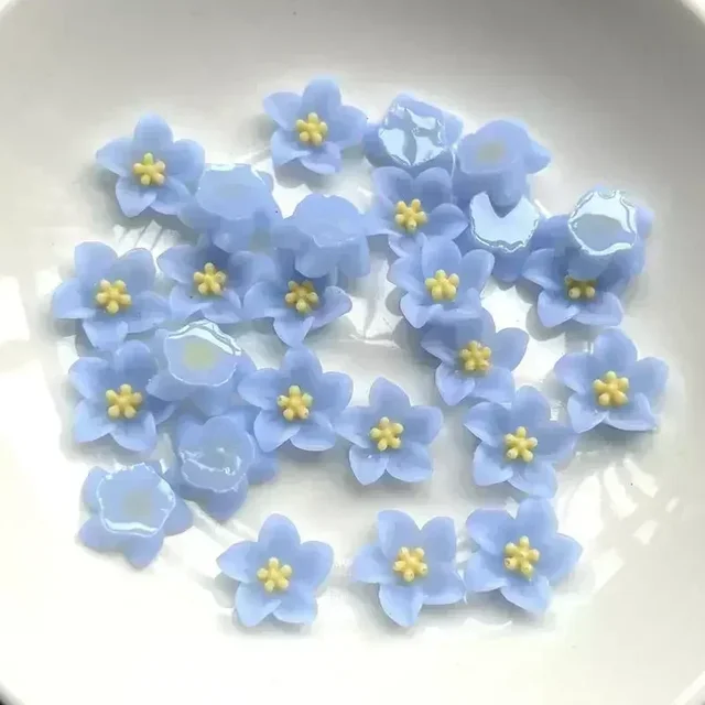 Image 27