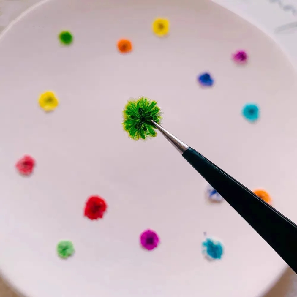 

60pcs Pressed Dried Multicolour Gypsophila Flower Head Herbarium Resin Epoxy Jewelry Card Bookmark Frame Phone Case Makeup Lamp